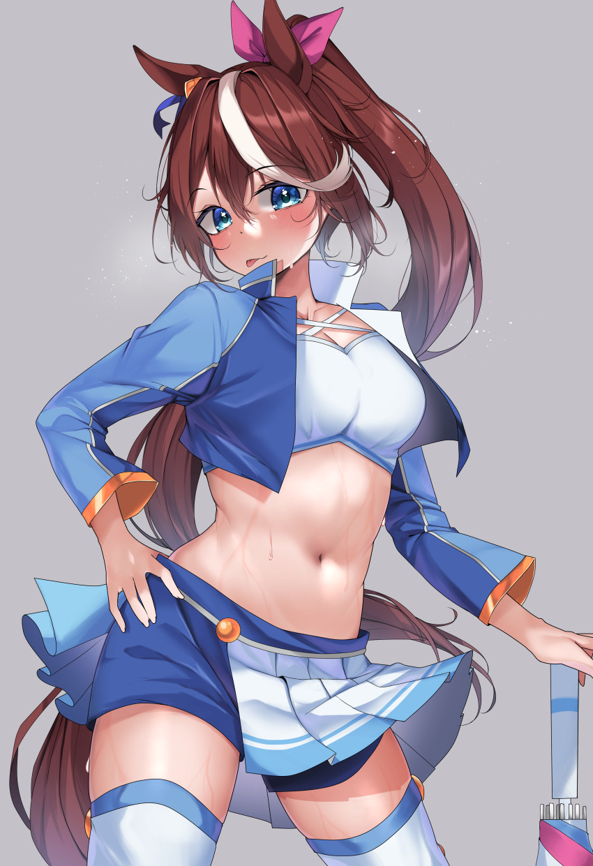 Tokai Teio (Umamusume) Rule 34 Image