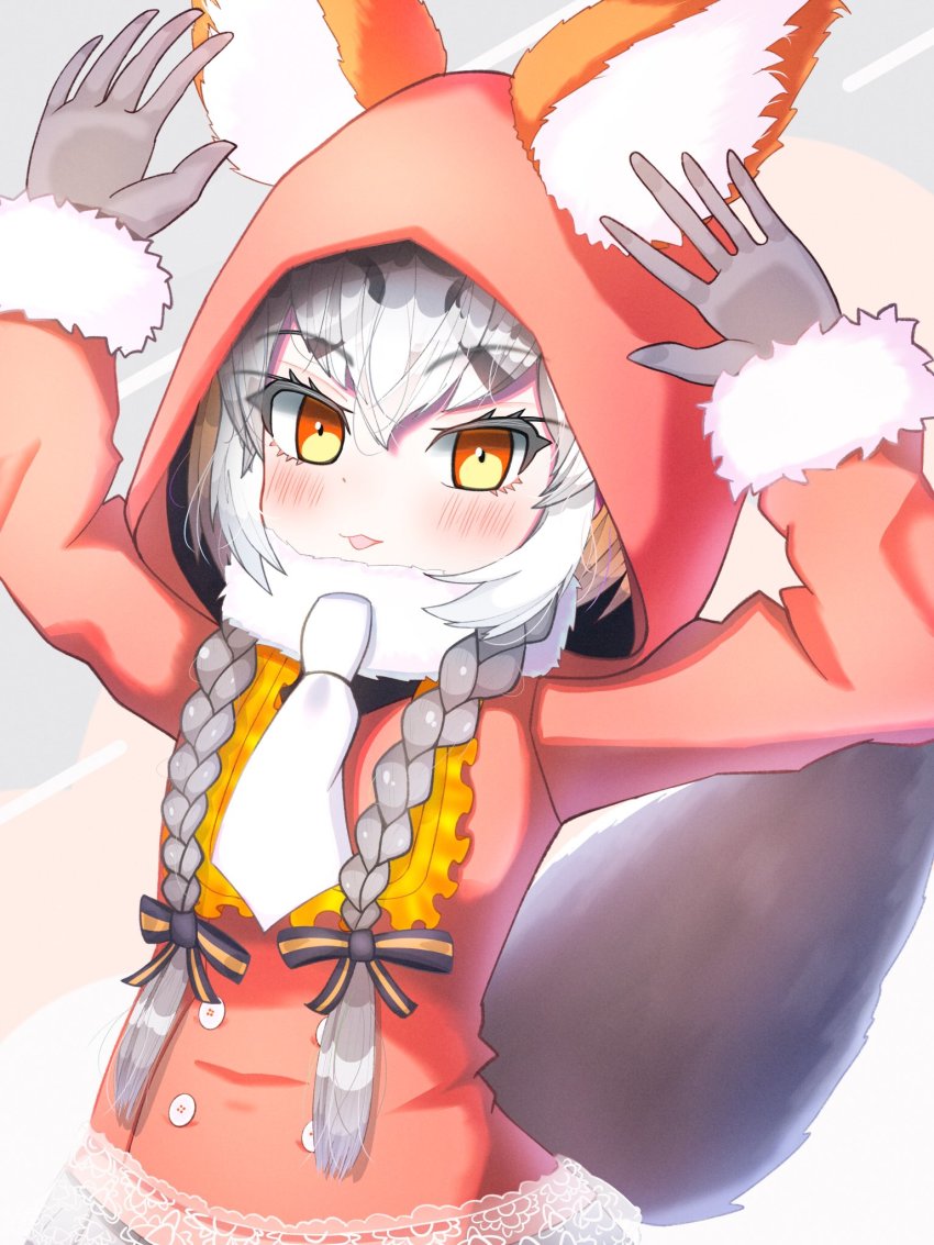 Island Fox (Kemono Friends) Rule 34 Image