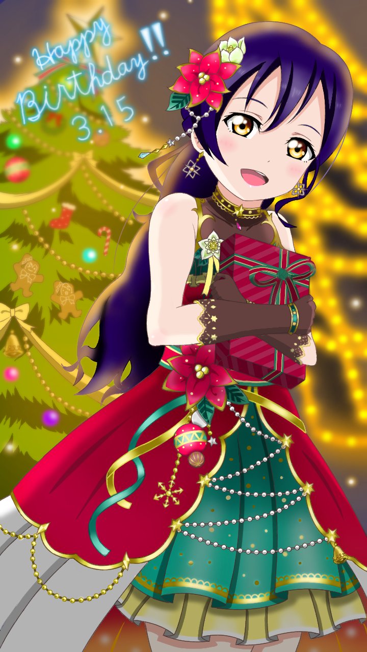 Sonoda Umi (Christmas) Rule 34 Image