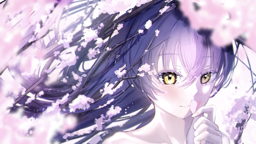Sonoda Umi (Love Live!) Rule 34 Image