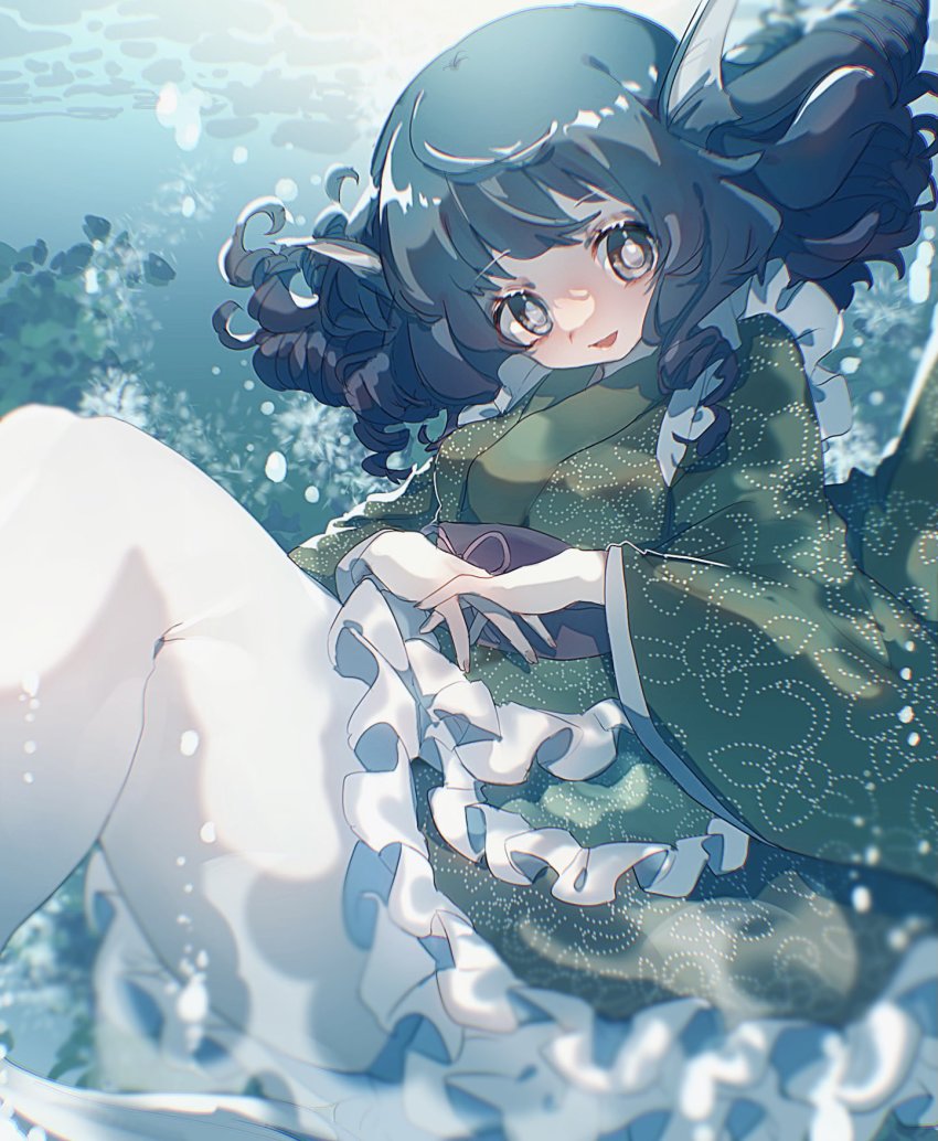 Wakasagihime (Touhou) Rule 34 Image