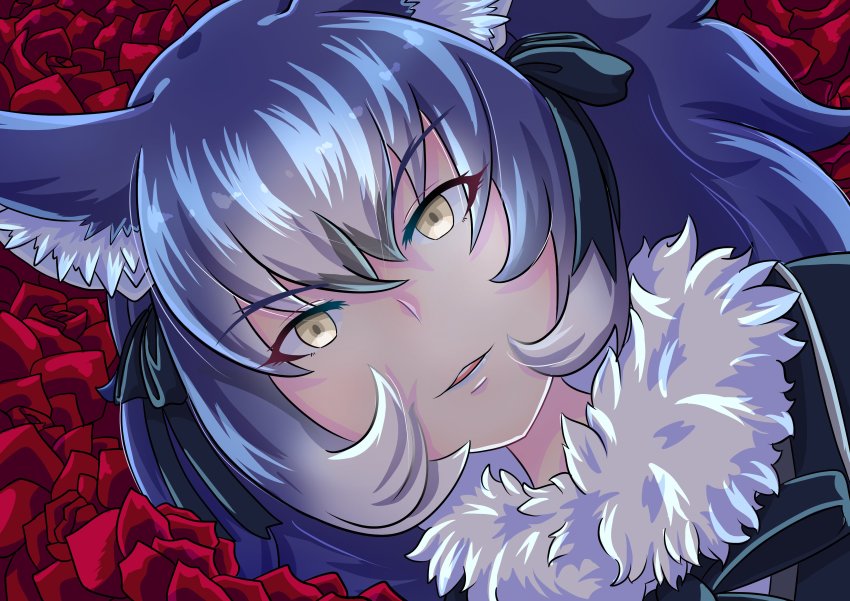 Dire Wolf (Kemono Friends) Rule 34 Image