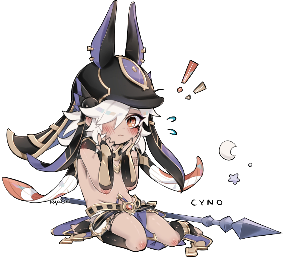 Cyno (Genshin Impact) Rule 34 Image