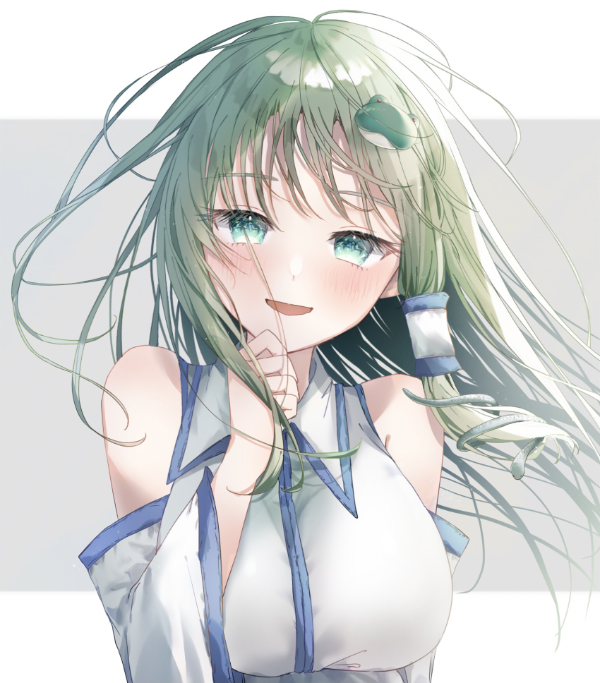 Kochiya Sanae (Touhou) Rule 34 Image