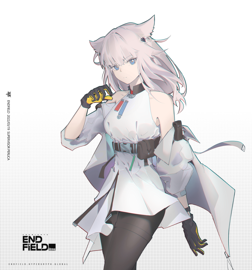 Perlica (Arknights) Rule 34 Image