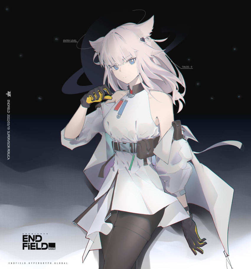Perlica (Arknights) Rule 34 Image