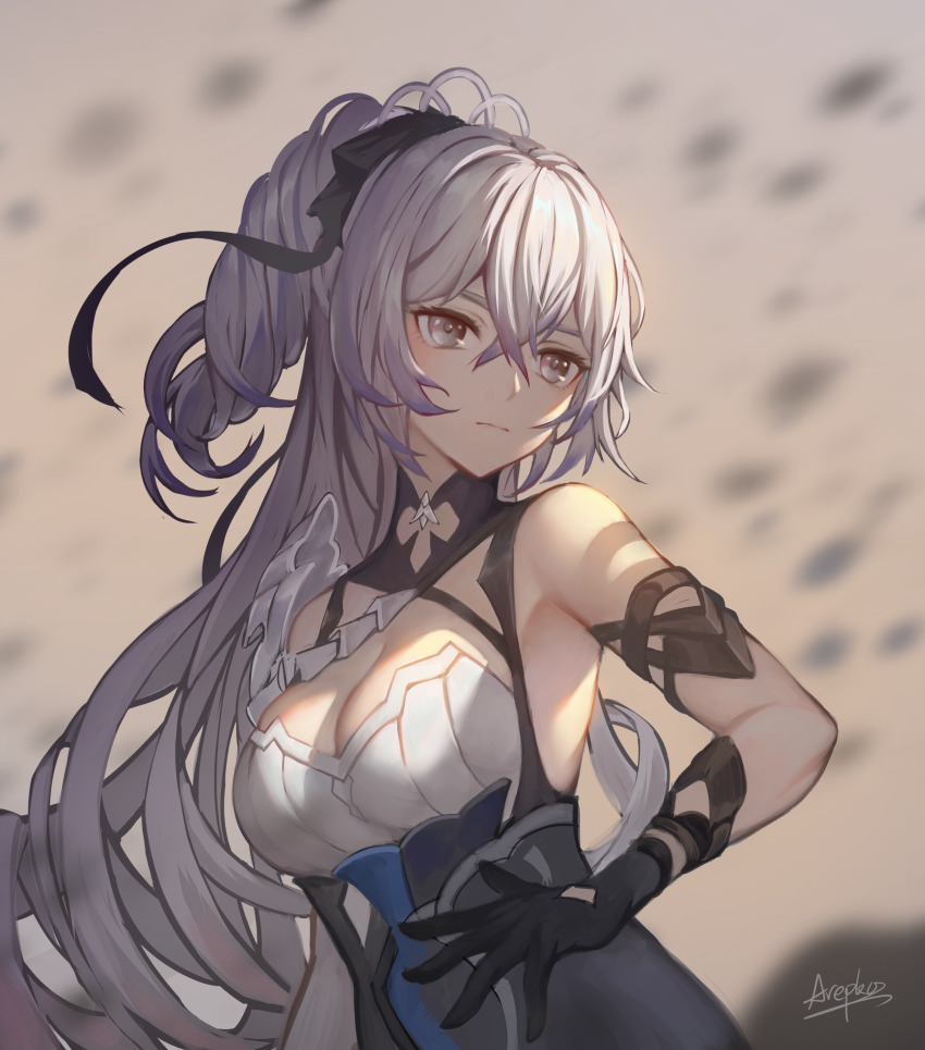 Bronya Zaychik (Honkai (Series)) Rule 34 Image