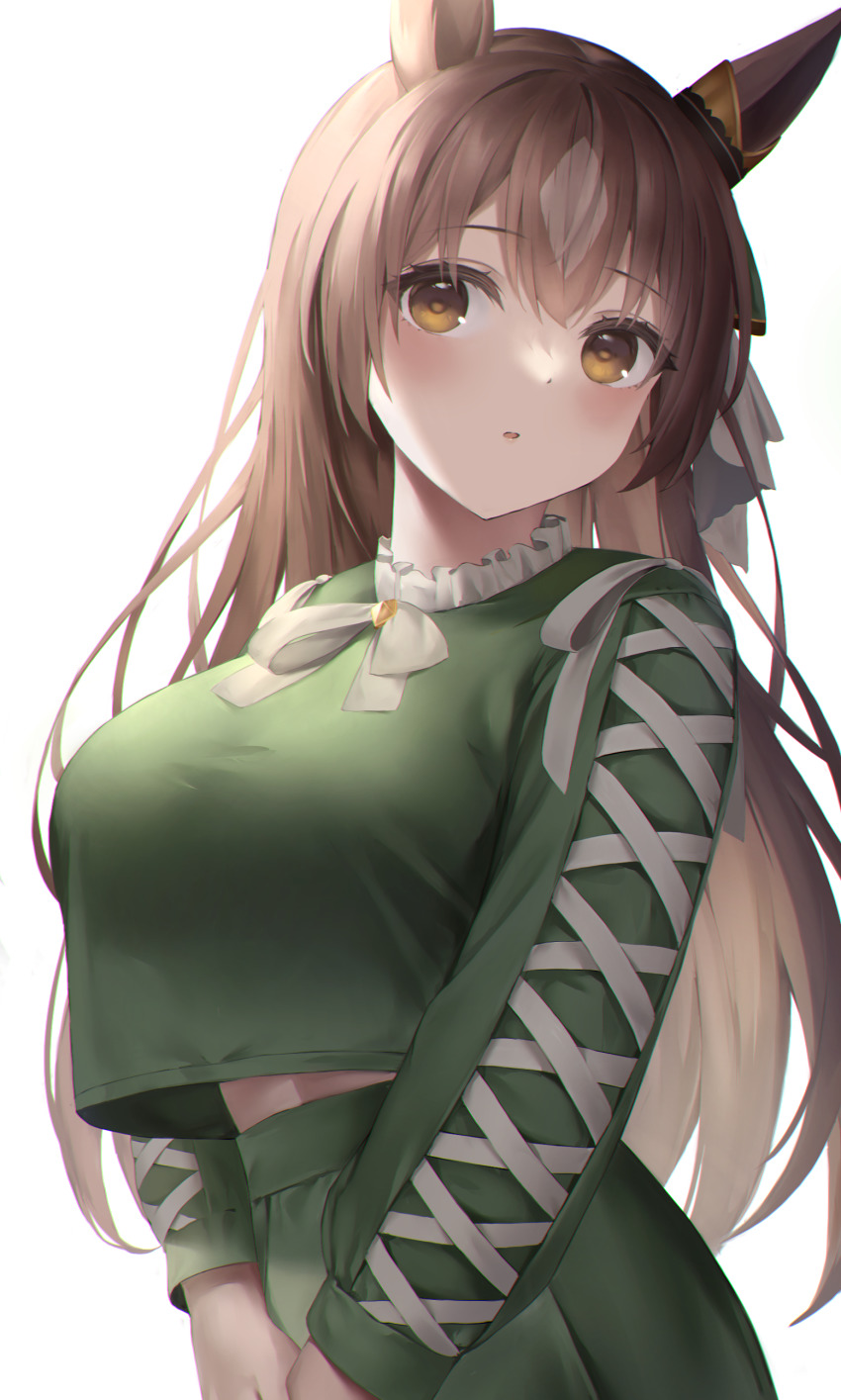 Satono Diamond (Umamusume) Rule 34 Image