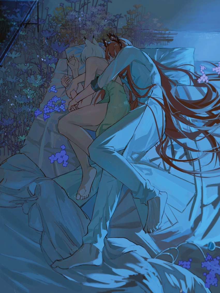 Kal'Tsit (Arknights) Rule 34 Image