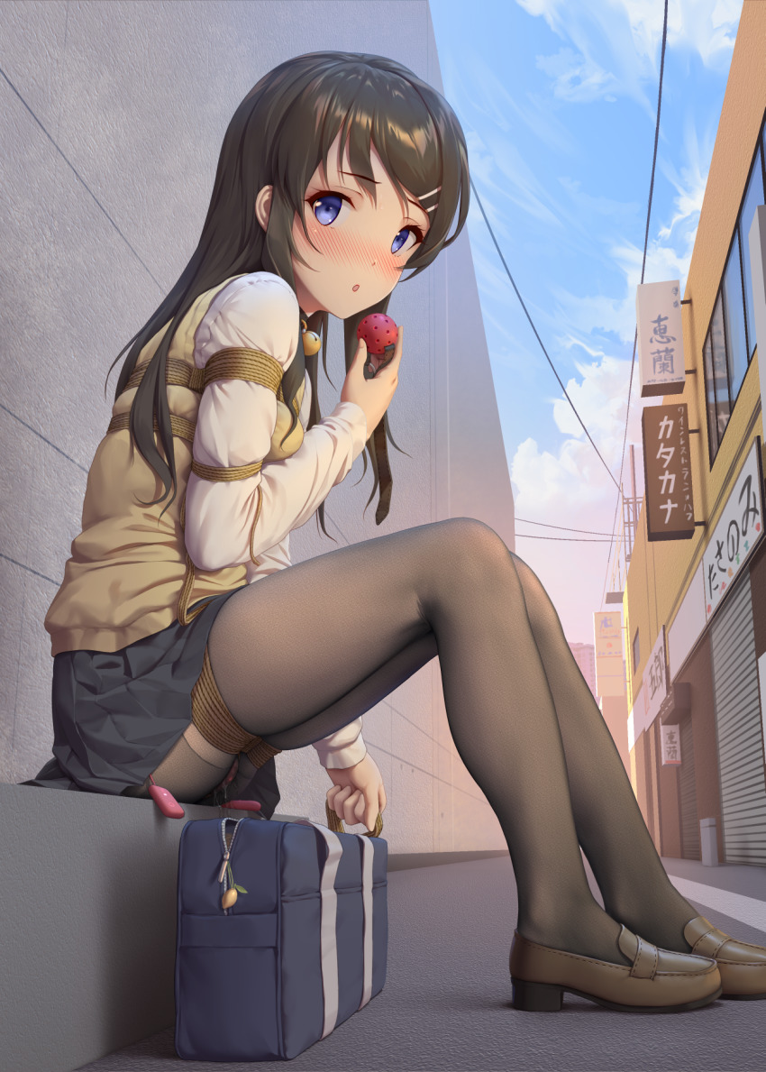 Sakurajima Mai (Seishun Buta Yarou Wa Bunny Girl Senpai No Yume Wo Minai) Rule 34 Image