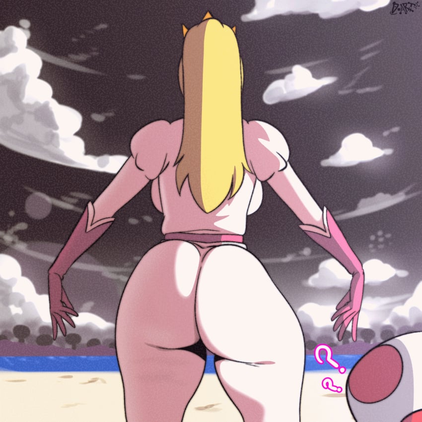Princess Peach (Mario (Series)) Rule 34 Image