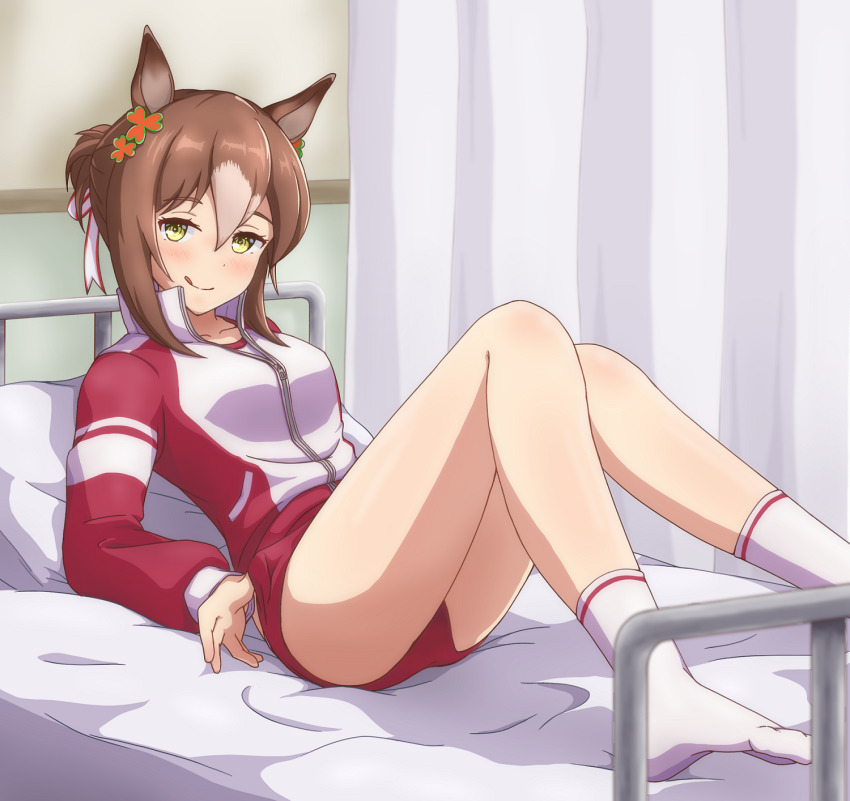 Fine Motion (Umamusume) Rule 34 Image