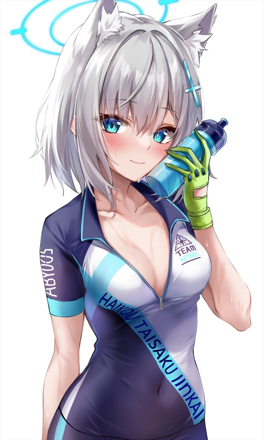 Shiroko (Blue Archive) Rule 34 Image