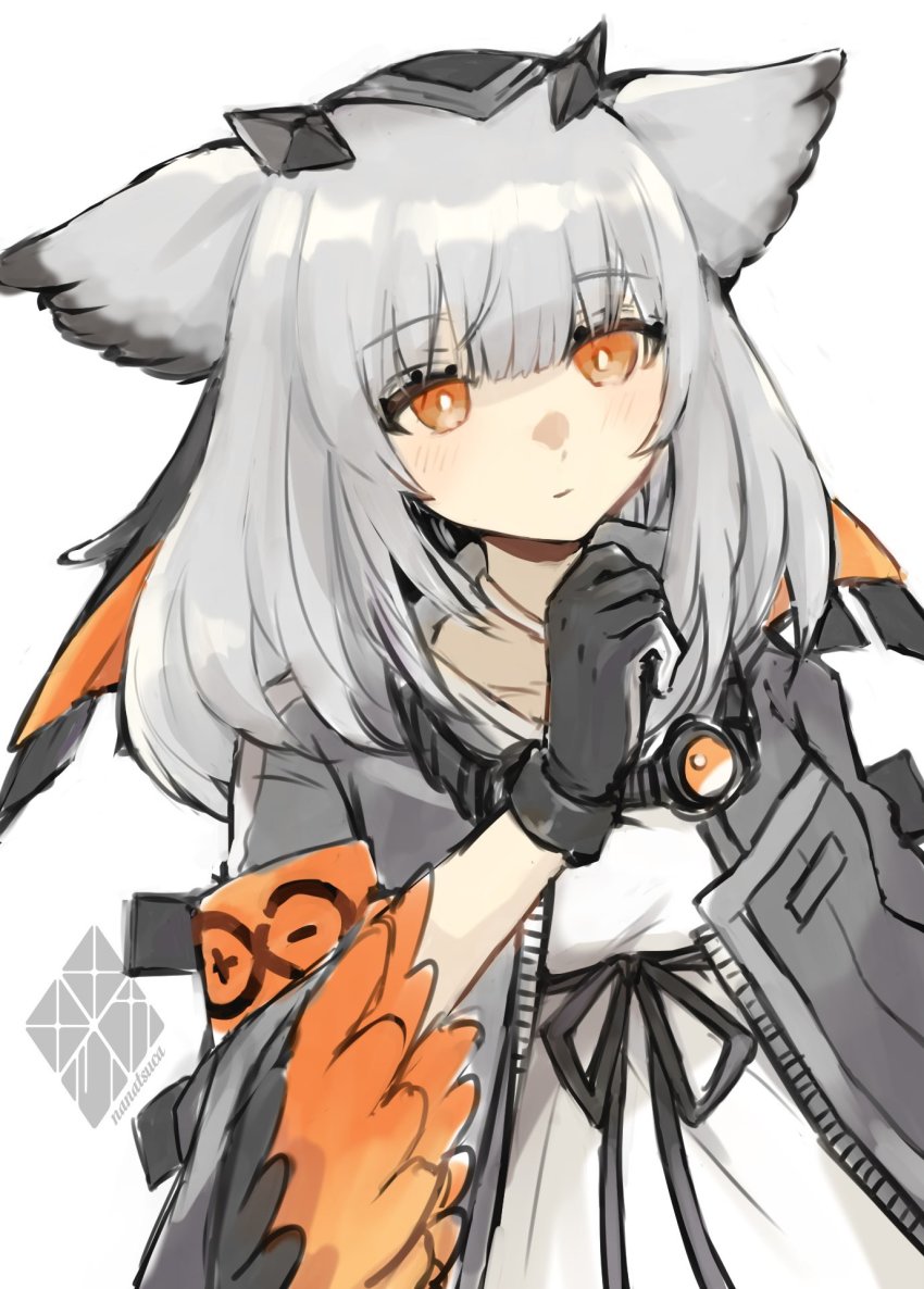 Ptilopsis (Arknights) Rule 34 Image