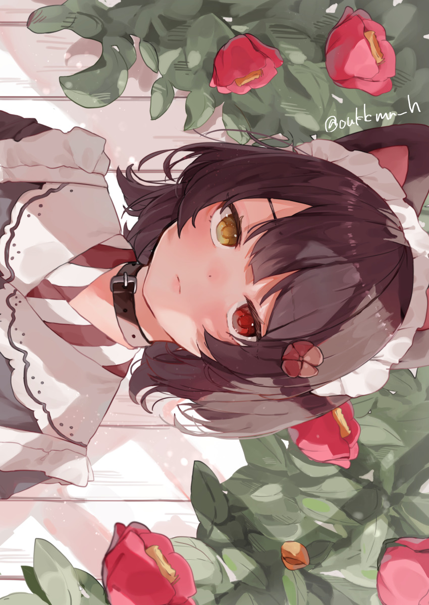 Inui Toko (Nijisanji) Rule 34 Image
