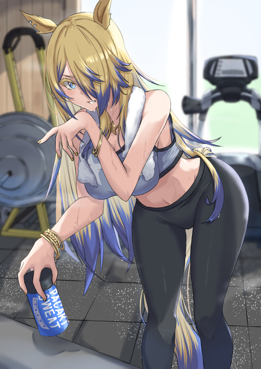 Obey Your Master (Umamusume) Rule 34 Image