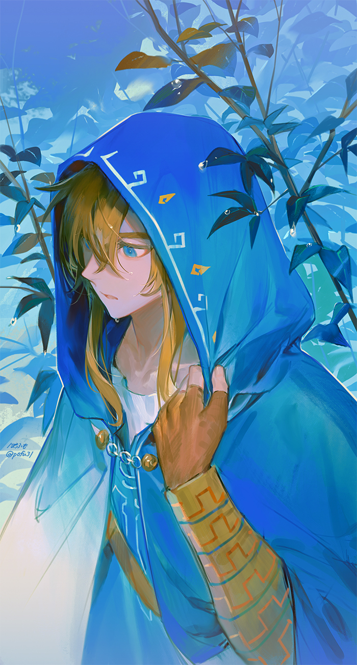 Link (Nintendo) Rule 34 Image