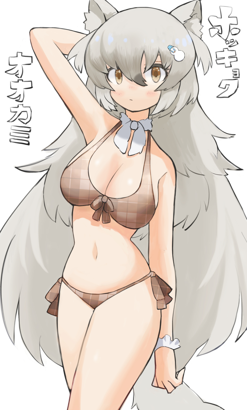 Arctic Wolf (Kemono Friends) Rule 34 Image