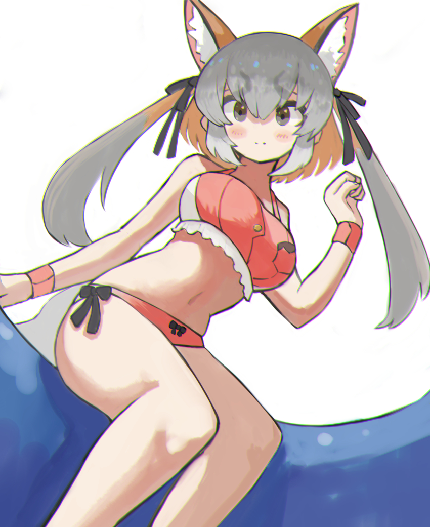 Island Fox (Kemono Friends) Rule 34 Image