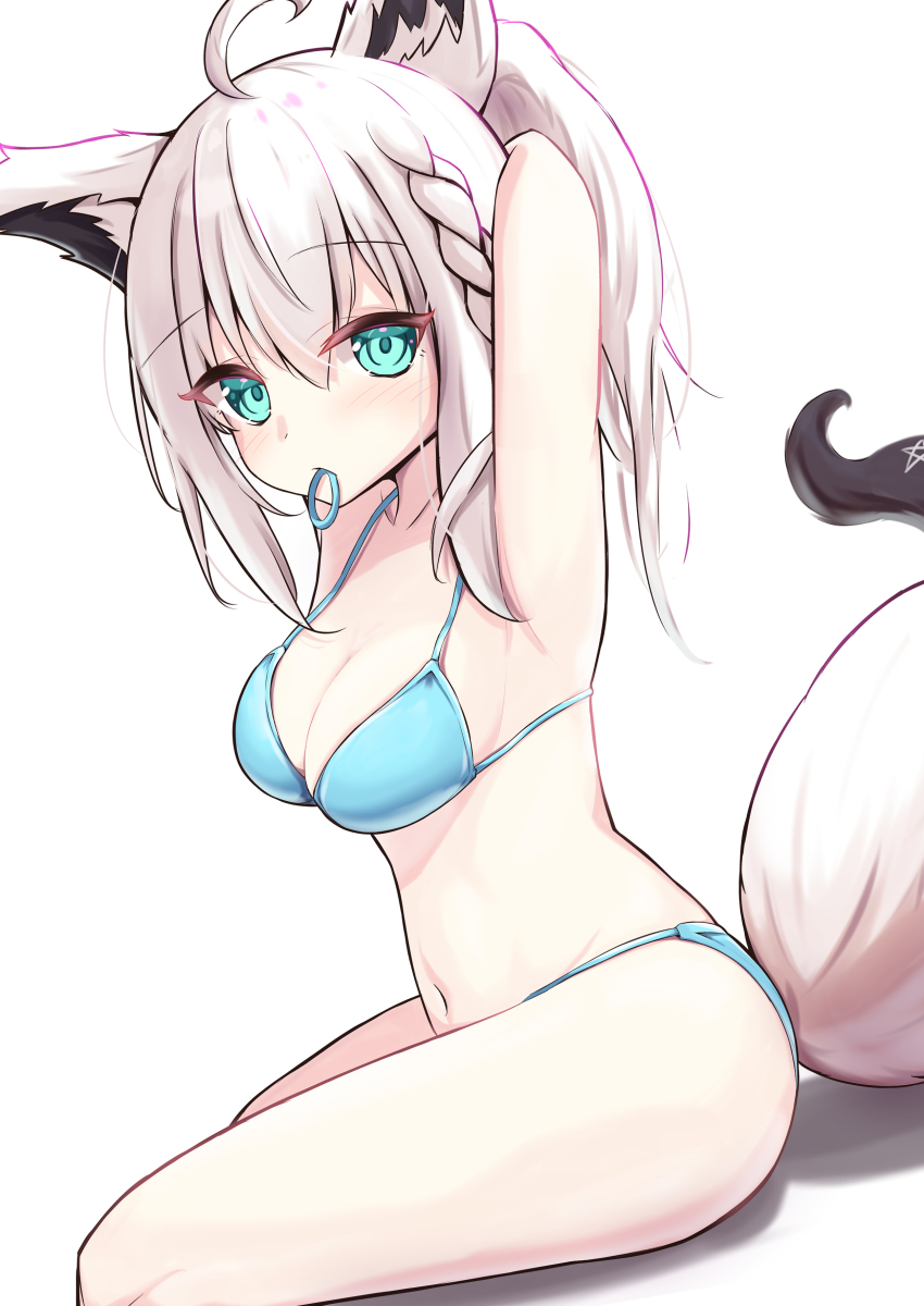 Shirakami Fubuki (Hololive) Rule 34 Image