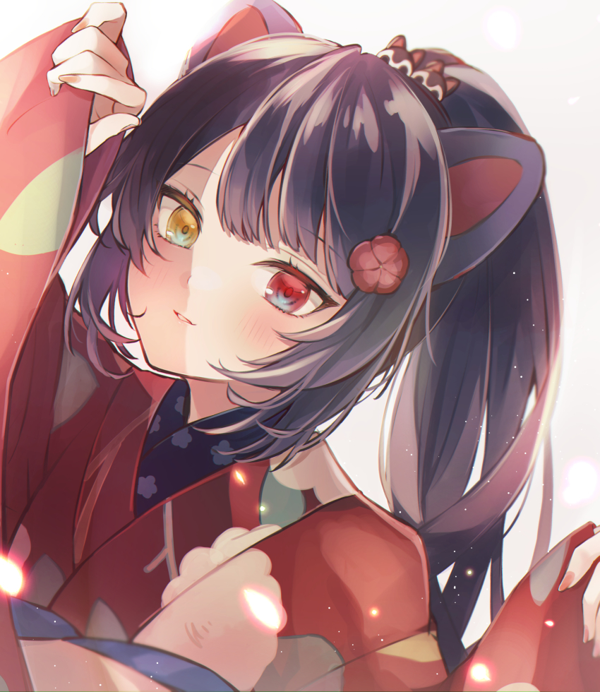 Inui Toko (Nijisanji) Rule 34 Image