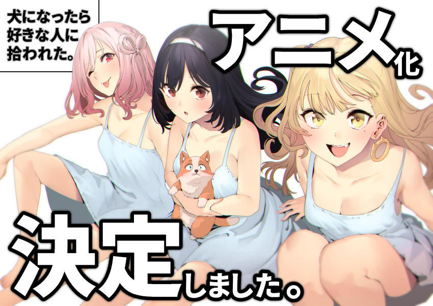 Inukai Karen (Inu Ni Nattara Suki Na Hito Ni Hirowareta) Rule 34 Image