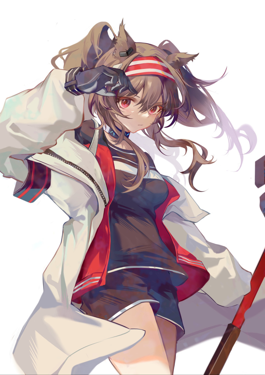Angelina (Arknights) Rule 34 Image