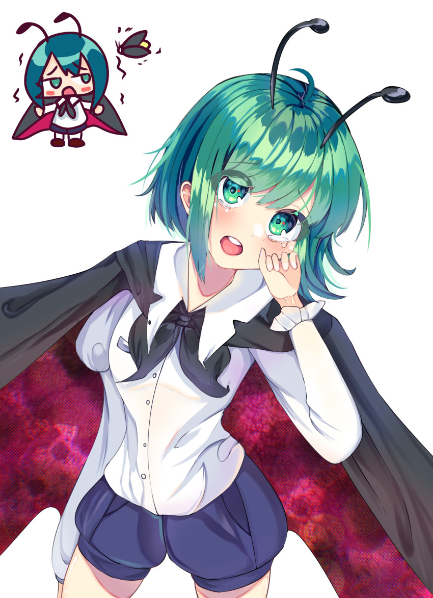 Wriggle Nightbug (Touhou) Rule 34 Image