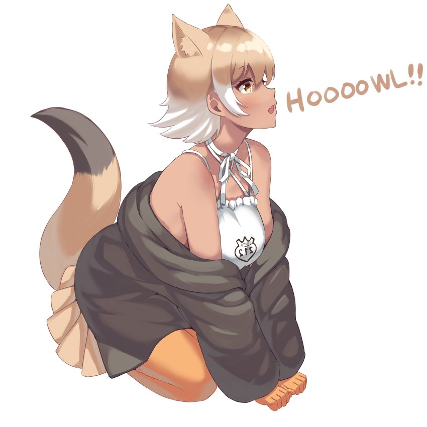Coyote (Kemono Friends) Rule 34 Image