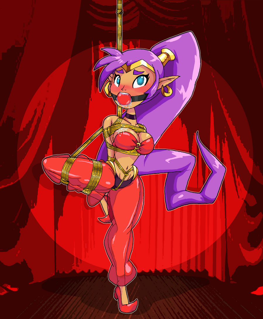 Shantae (Character) Rule 34 Image