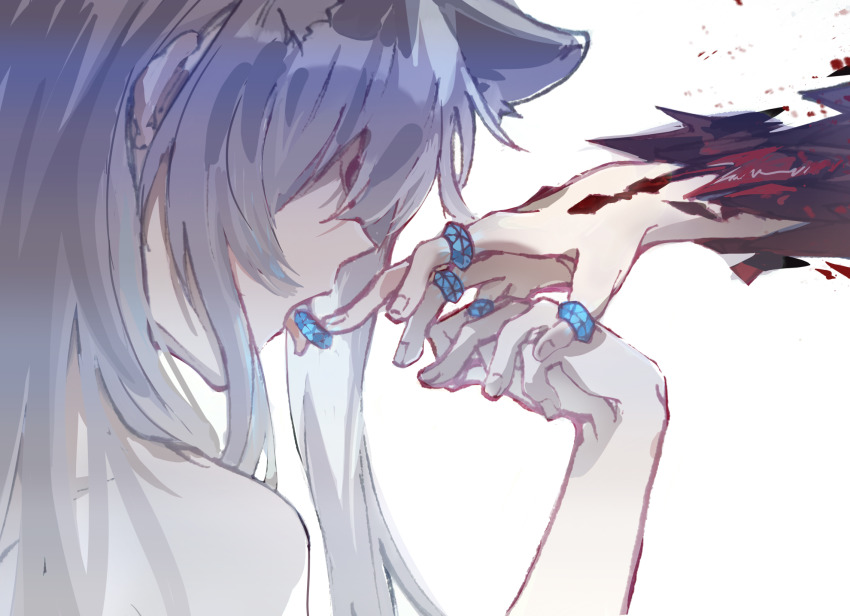 Amiya (Arknights) Rule 34 Image