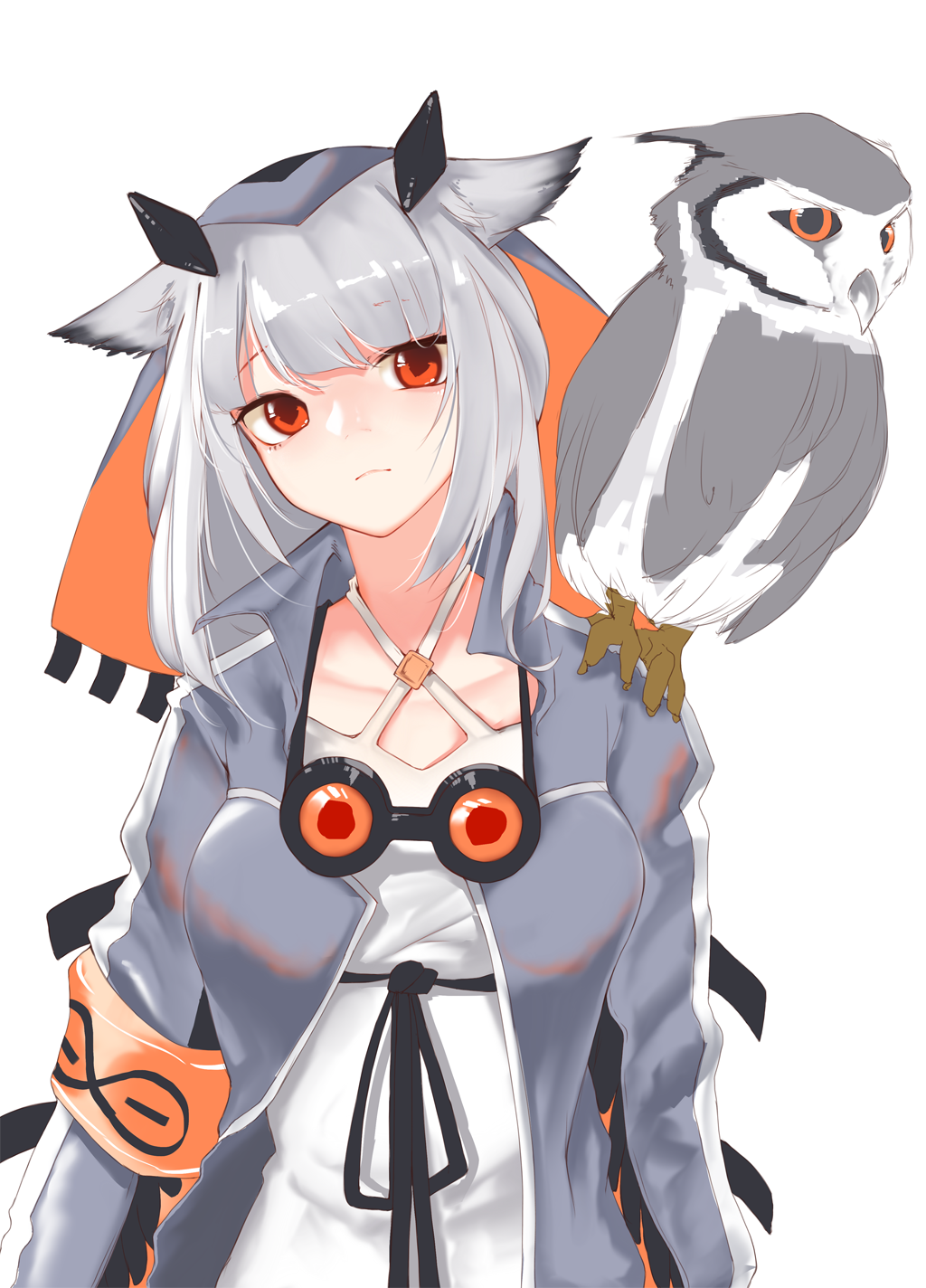 Ptilopsis (Arknights) Rule 34 Image