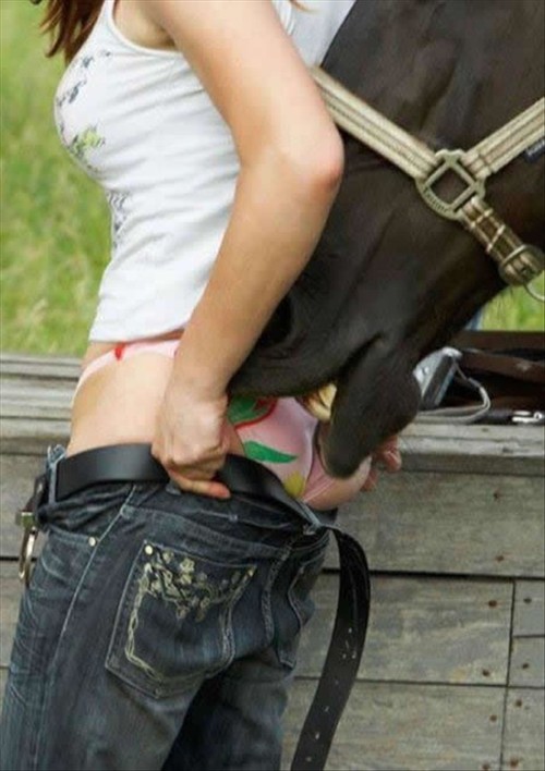 Animal Rule 34 Image
