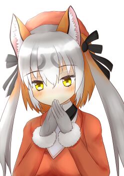 Island Fox (Kemono Friends) Rule 34 Image