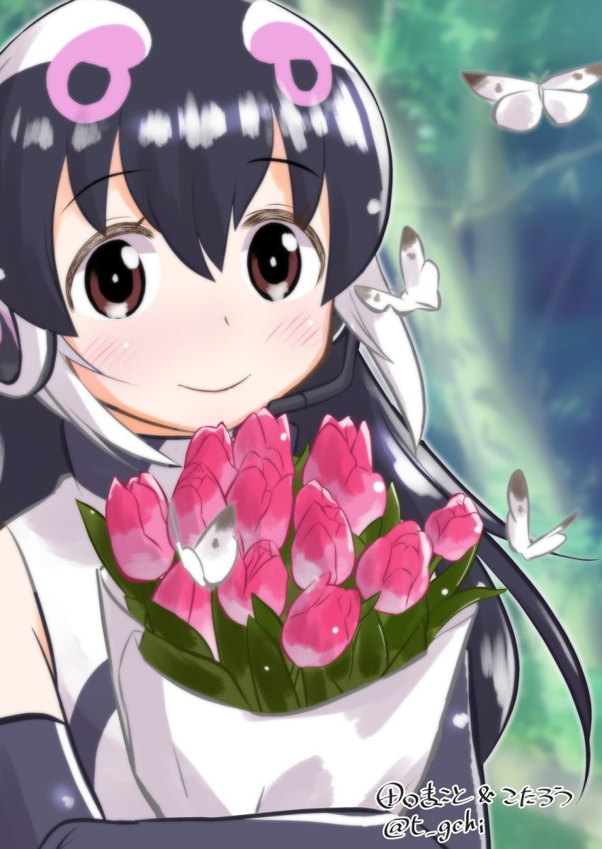 African Penguin (Kemono Friends) Rule 34 Image