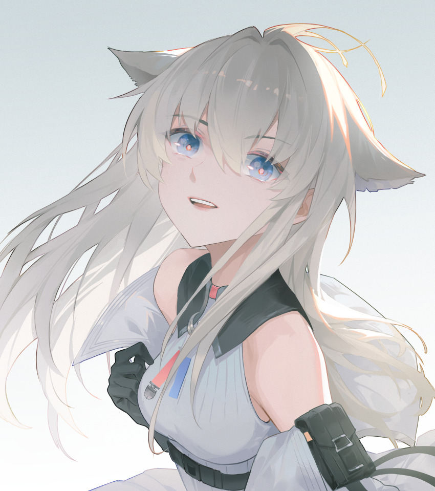 Perlica (Arknights) Rule 34 Image