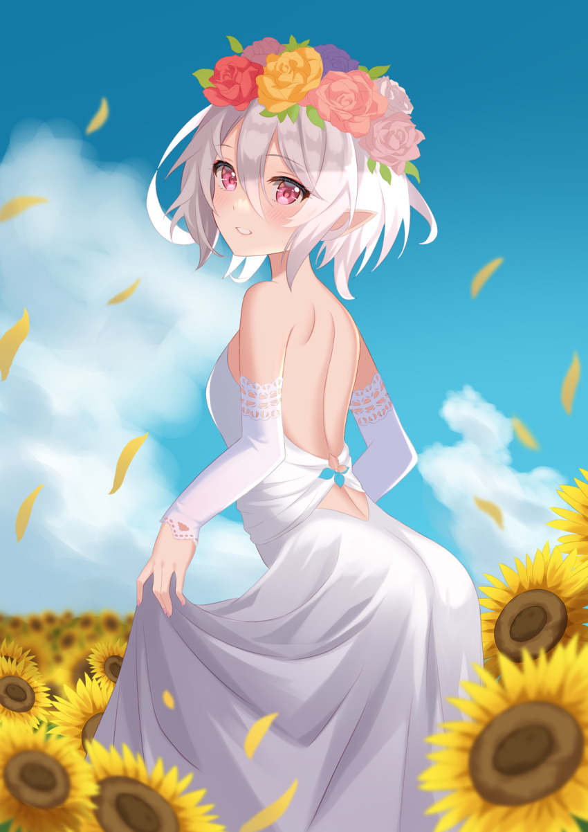 Kokkoro (Princess Connect!) Rule 34 Image