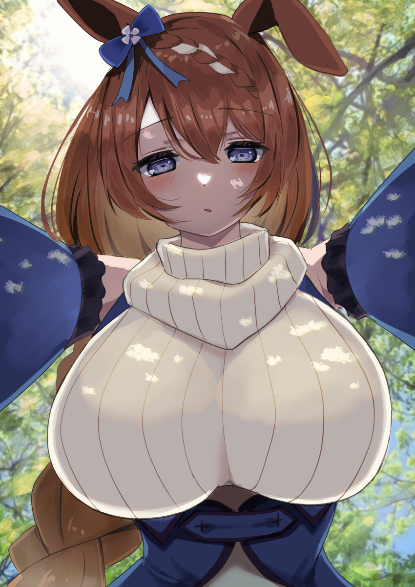 Super Creek (Umamusume) Rule 34 Image