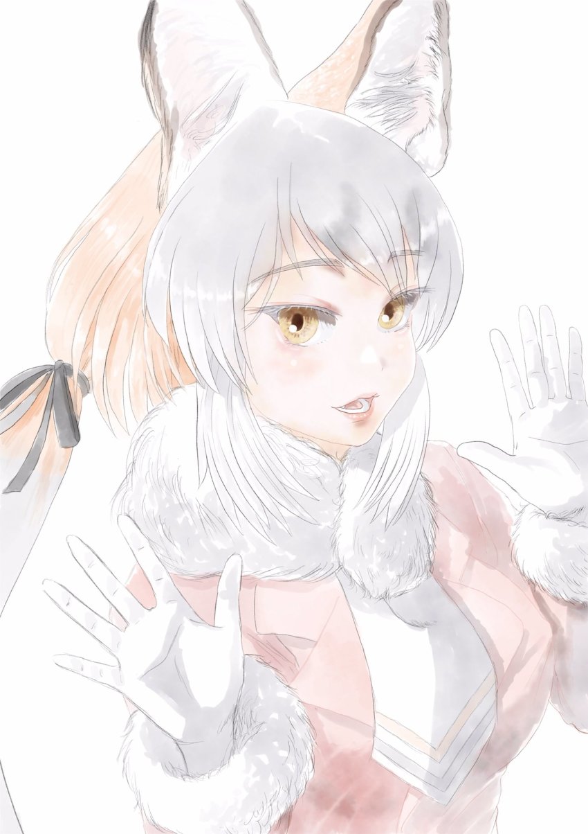 Island Fox (Kemono Friends) Rule 34 Image