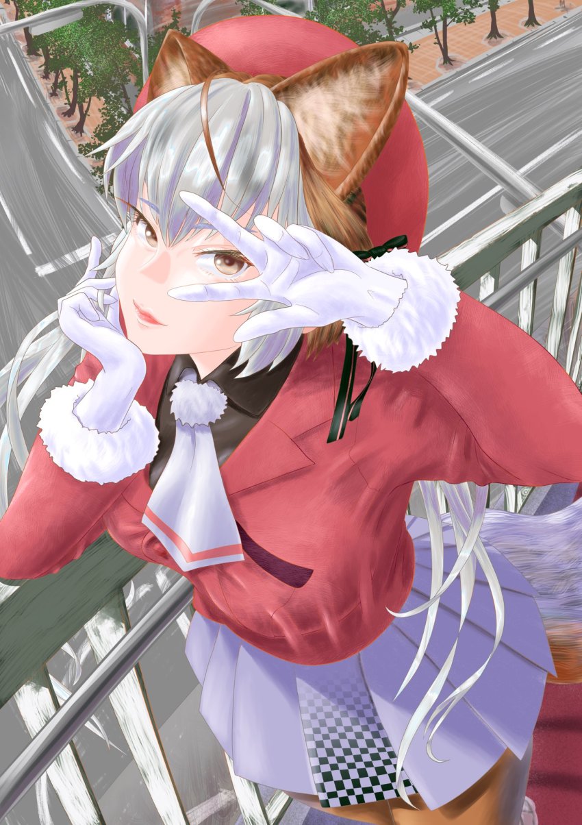 Island Fox (Kemono Friends) Rule 34 Image
