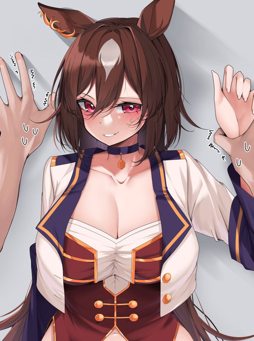 Sirius Symboli (Umamusume) Rule 34 Image