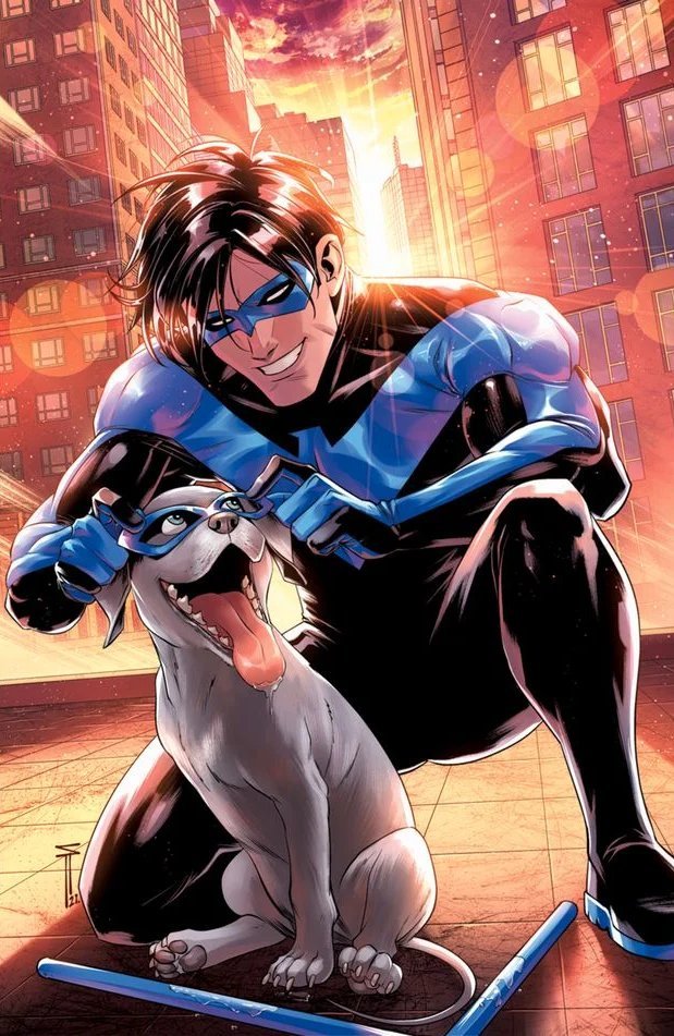 Dick Grayson (Batman (Series)) Rule 34 Image