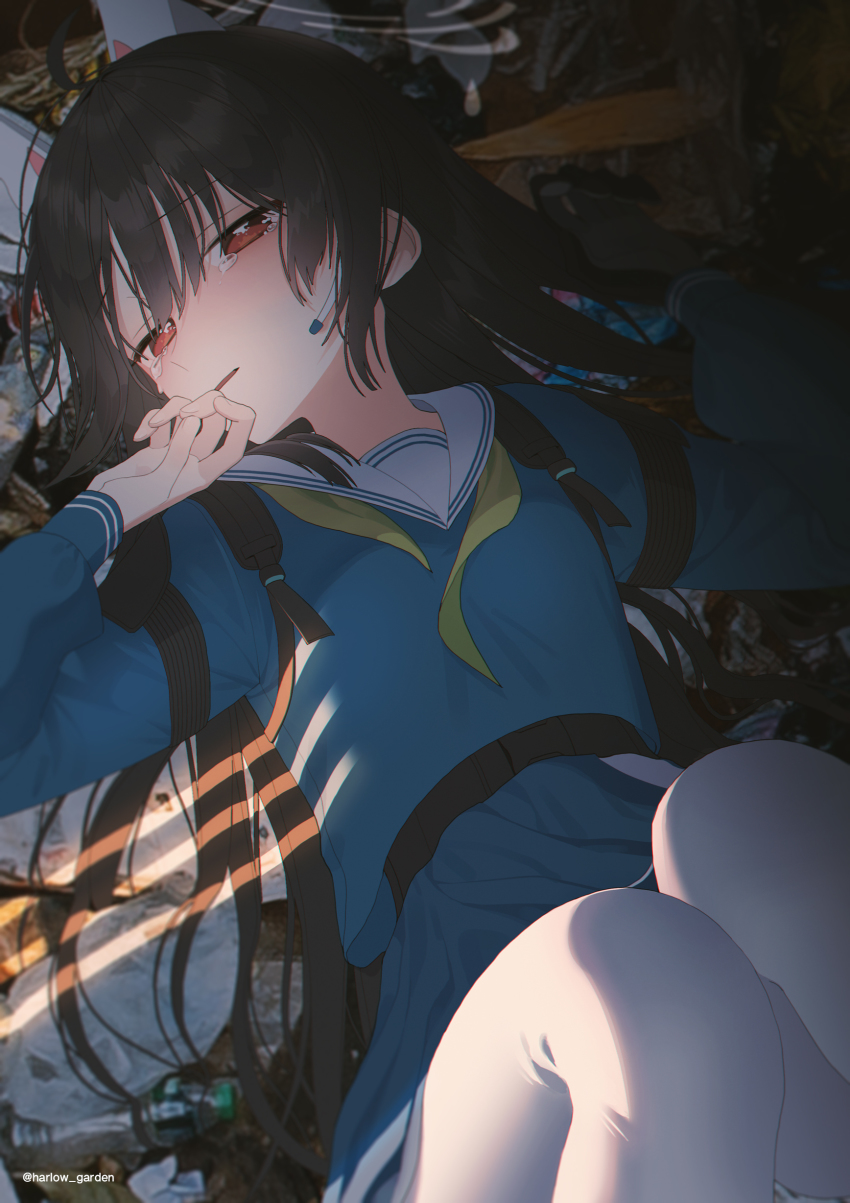 Miyu (Blue Archive) Rule 34 Image