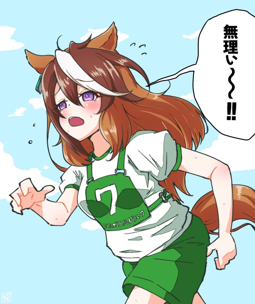 Symboli Rudolf (Umamusume) Rule 34 Image