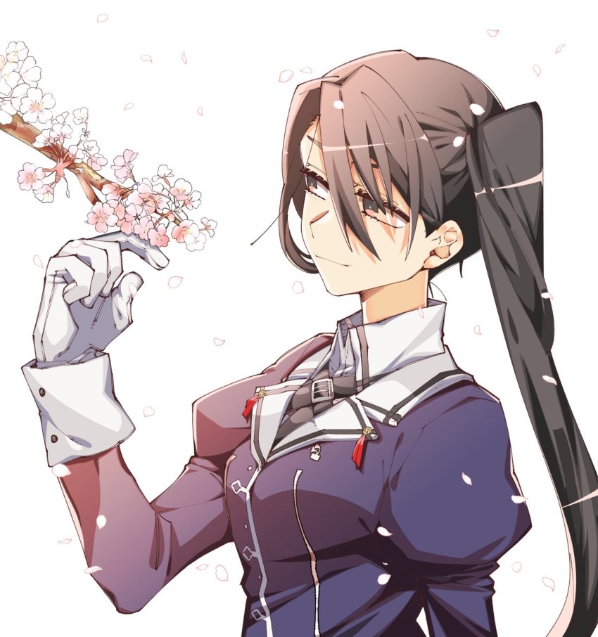 Kantai Collection Rule 34 Image