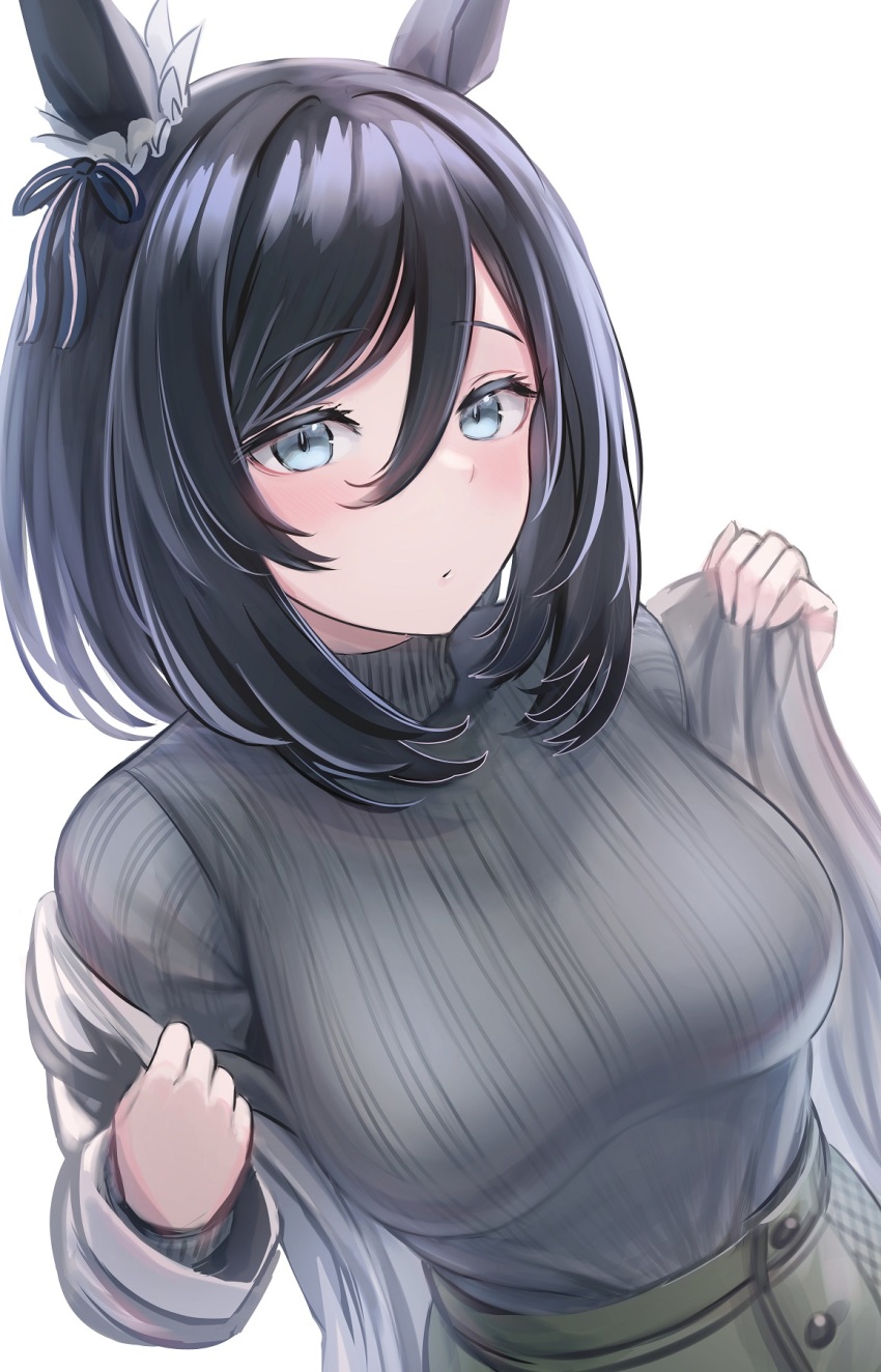 Eishin Flash (Umamusume) Rule 34 Image