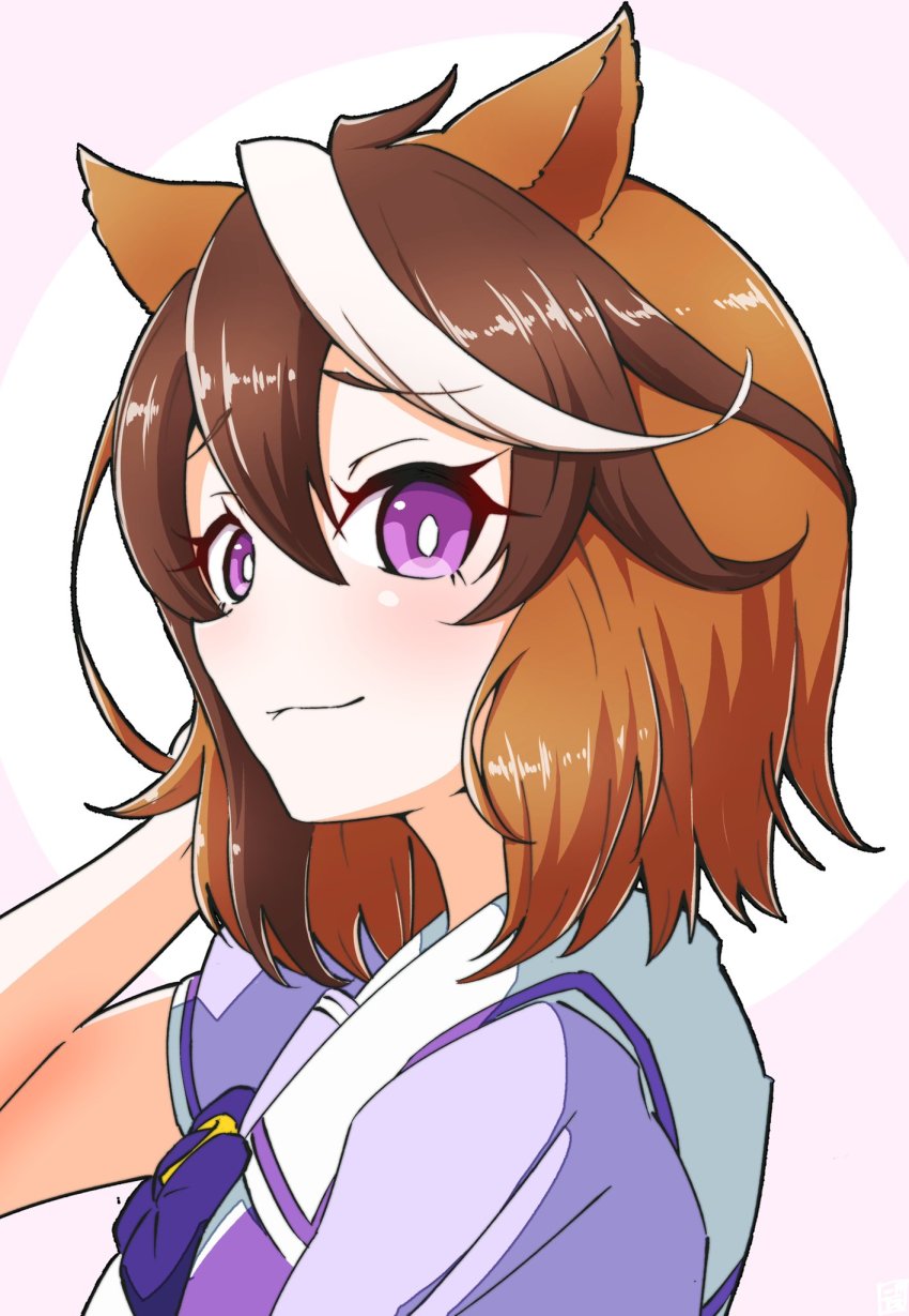 Symboli Rudolf (Umamusume) Rule 34 Image