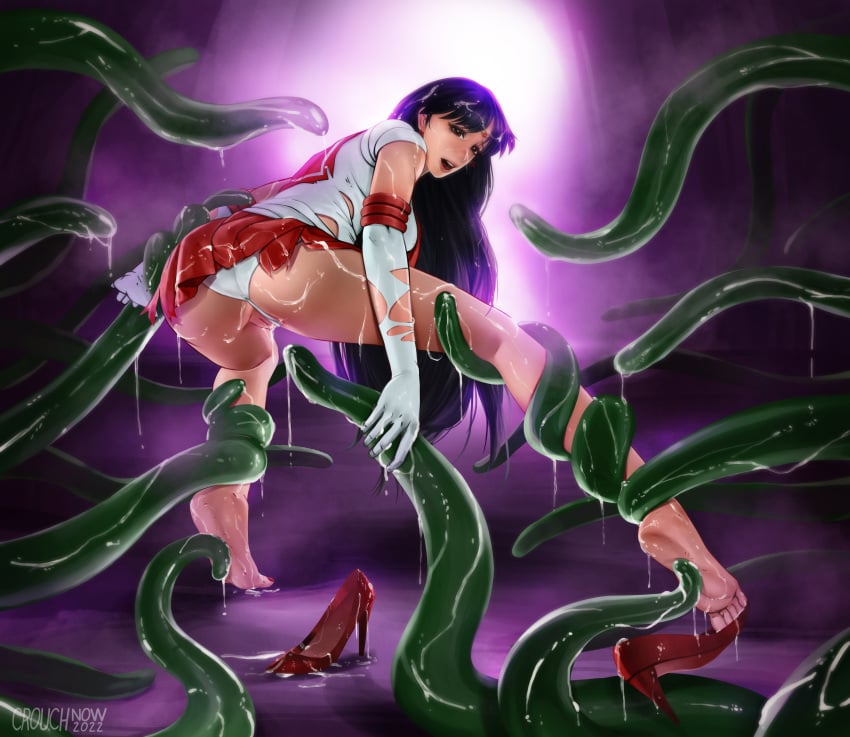 Rei Hino (Bishoujo Senshi Sailor Moon) Rule 34 Image