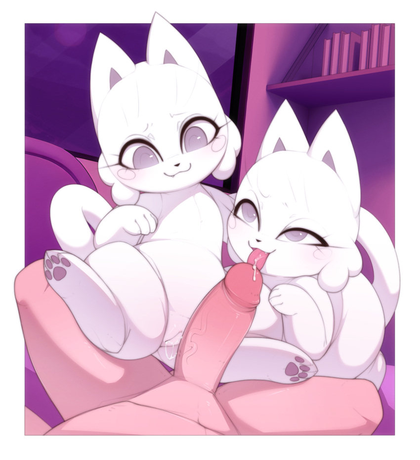Lotion Cat Rule 34 Image