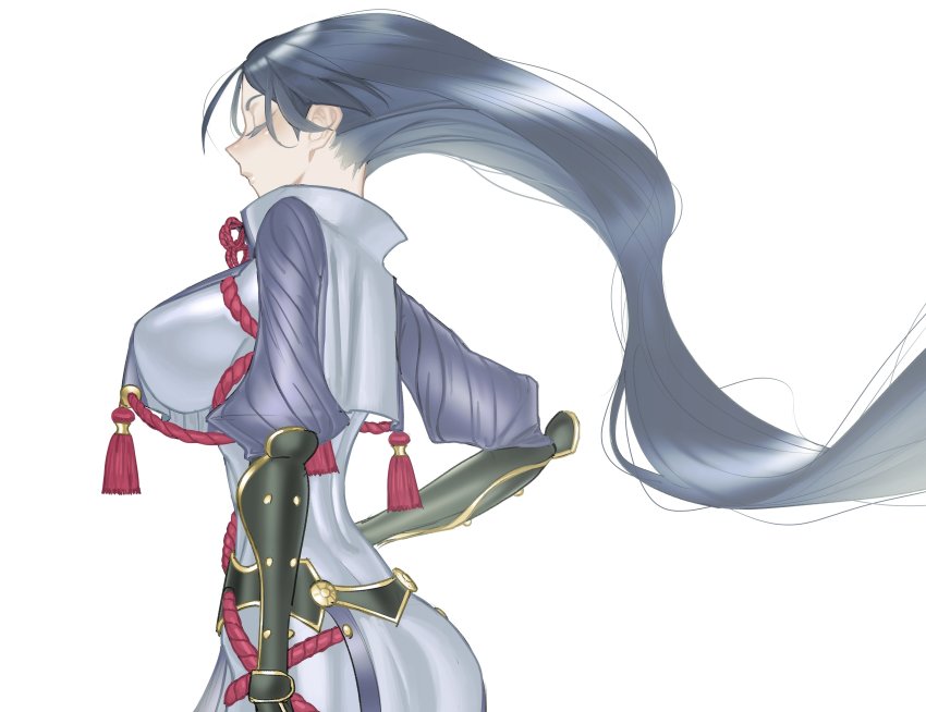 Minamoto No Raikou (Fate) Rule 34 Image